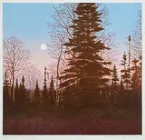 John Christopher Pratt, Above Gander Lake #56/65, 1997, colour lithograph and silkscreen on paper