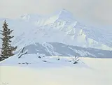 Ted Raftery, Kananaskis Watershed
