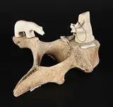 James Colbourne, Untitled - Fisherman and Bear II, stone and bone carving
