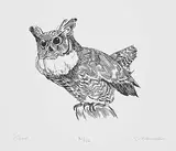 James Archibald Houston, Owl #81/150 [Arctic Drawings], 1978, lithograph on paper