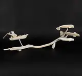 Ernie Kadloo, Untitled - Hunting Beluga Whales, bone and mixed media sculpture