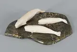 Ernie Kadloo, Untitled - Three Beluga Whales, stone and bone carving