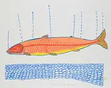 William Noah, Dream Fish #16/50, 1980, colour silkscreen on paper