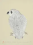 Kananginak Pootoogook, The Small Owl #18/60, 1977, colour lithograph on paper