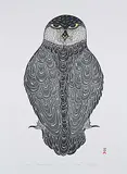 Kananginak Pootoogook, Dark Owl #1/50, 1986, colour stonecut and stencil on paper