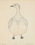Kananginak Pootoogook, Ptarmigan #21/50, 1968, colour etching on paper