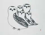 Pudlo Pudlat, Family of Owls #33/50, 1990, stonecut on paper