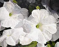 Steve Allan, Good Natured, oil on wood board