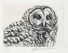 Robert Bateman, Untitled - Owl #82/90, etching on paper