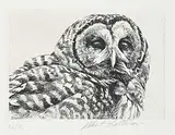 Robert Bateman, Untitled - Owl #82/90