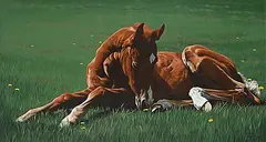 Adeline Halvorson, Signs of Spring, 1990, oil on canvas