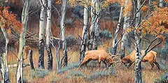 Kay Homan, Autumn Colors and Clashes, 2006, watercolour on paper