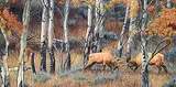Kay Homan, Autumn Colors and Clashes, 2006, watercolour on paper