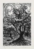 The Flowering Tree 3 #4/10 by Rosemary Elizabeth Kilbourn, wood engraving on paper, sold Dec 2025