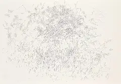 Barbara Ann Kipling, Untitled - Landscape #1, 2008, ink on paper