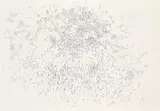 Barbara Ann Kipling, Untitled - Landscape #1, 2008, ink on paper