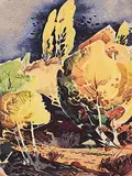 Luke Orton Lindoe, Untitled - Autumnal Path
