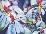 Catherine Macaulay, Butchart Gardens: Christmas Eve #1, 1996, watercolour on paper