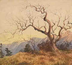 Thomas Mower Martin, Untitled - Weathered Form, watercolour on paper