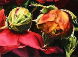 Gabor L. Nagy, Rose Buds, 2003, oil on canvas