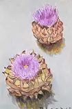 Joseph Francis Plaskett, Two Artichokes