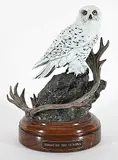 Don Toney, Ghost of the Tundra #17/40, 1993, bronze sculpture