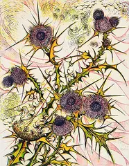 Richard Calver, Thistle #16/60, colour lino block on paper