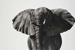 Maureen Enns, Young Charging Bull, 1989, charcoal on paper