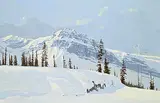 Ted Raftery, The Snowbank