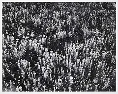 Craig Richards, Ice Detail, Johnson Lake [Banff National Park] #1/6, 2000, black and white photograph on paper