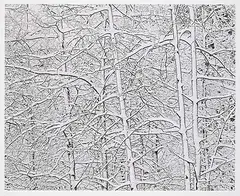 Craig Richards, Poplar, Fresh Snow [Kananaskis Country] #2/6, 2002, black and white photograph on paper