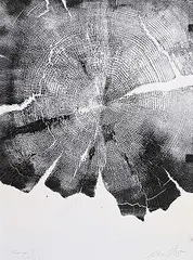 Peter von Tiesenhausen, Firings, 2001, monoprint on paper