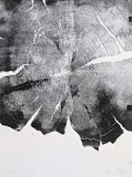 Peter von Tiesenhausen, Firings, 2001, monoprint on paper