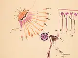 Alex Janvier, Sun Power