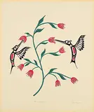 Carey Newman, Hummingbirds #63/75, colour silkscreen on paper