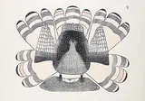 Kakulu Sagiatuk, Disturbed While Nesting #11/50, 1981, colour stonecut and stencil on paper