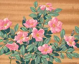 A. J. Casson, Early Wild Roses, colour silkscreen on wood veneer