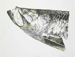 Jack Lee Cowin, Tarpon #T.P., 1990, colour lithograph on paper