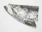 Jack Lee Cowin, Tarpon #T.P., 1990, colour lithograph on paper