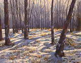 Mannie Gonsalves, Snow Shadow - Burns Ranch