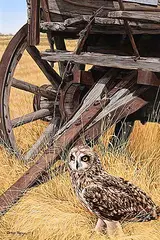 Darren Haley, The Surveyor, 2001, oil on wood board