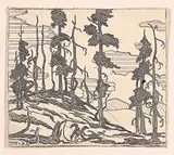 Jim and Marion Nicoll, Untitled - Tree Sketch, graphite on paper