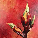 Pascale Ouellet, Untitled - Flower Bud, 2004, mixed media encaustic on wood board