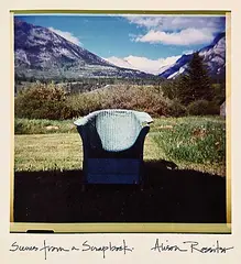 Alison Rossiter, Scenes from a Scrapbook, colour photograph on paper