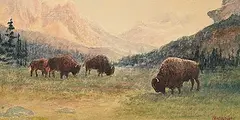 Thomas Harrison Wilkinson, Buffalo - Banff, Alberta, watercolour on paper