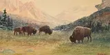Thomas Harrison Wilkinson, Buffalo - Banff, Alberta, watercolour on paper