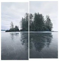 Nathan Birch, Reflected Trees, Wet Beach [Diptych], 2012, acrylic on canvas on wood board
