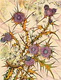 Richard Calver, Thistle #32/60, colour lino block on paper