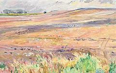 Dorothy Knowles, Summer Fallow, 1985, oil on canvas
