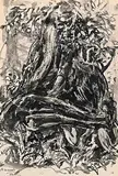 Arthur Lismer, Untitled - Tree Trunk, 1963, ink on paper